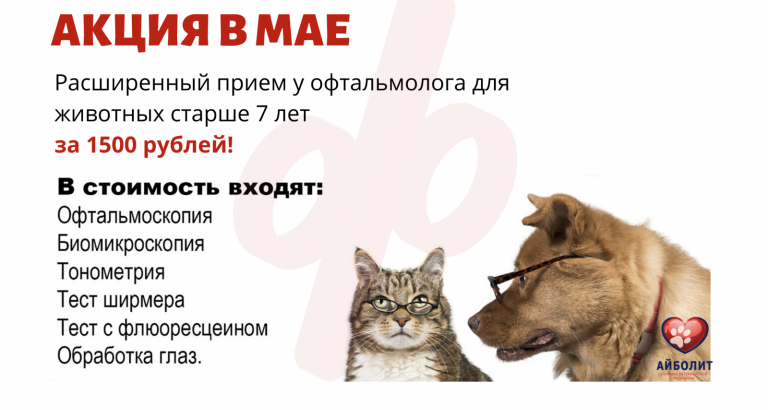 Прием офтальмолога за 1500 рублей для животных старше 7 лет.